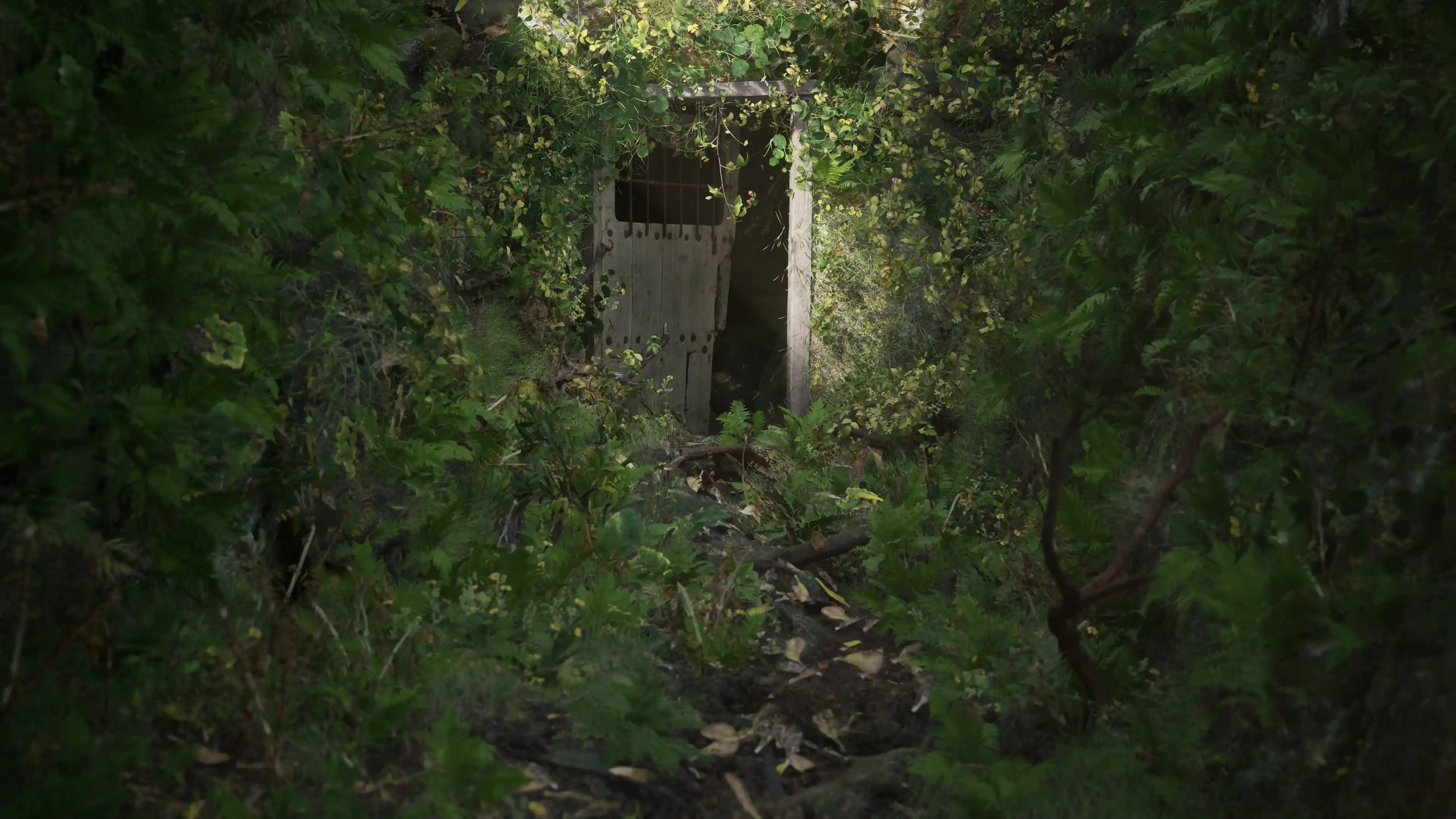 Overgrown forest doorway concept